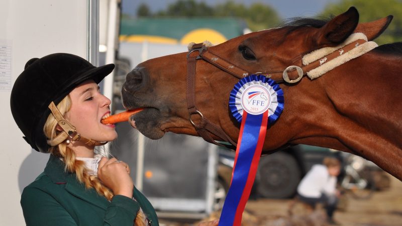 Horse rider shared after winning match