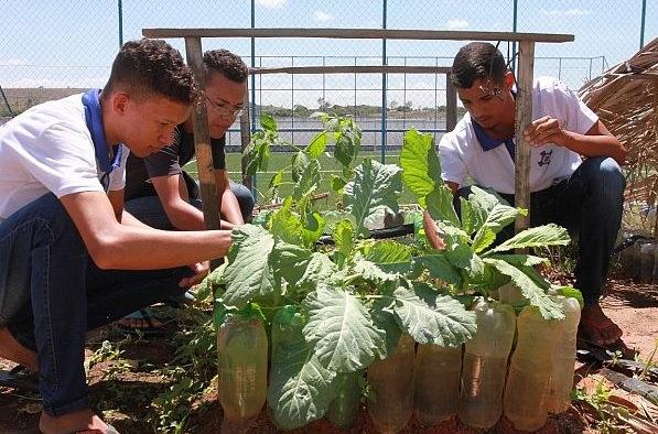 Governo de Alagoas institui lei da escola sustentável na rede estadual