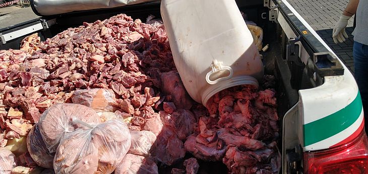 Visa recolhe mais de 3 toneladas de alimento estragado em mercadinhos do Tabuleiro, no fim de semana