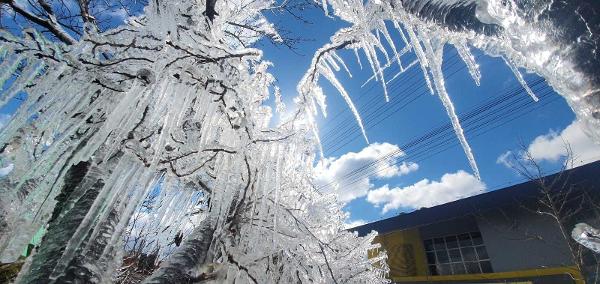 Cidades do RS ficam cobertas de neve após chegada de frente fria