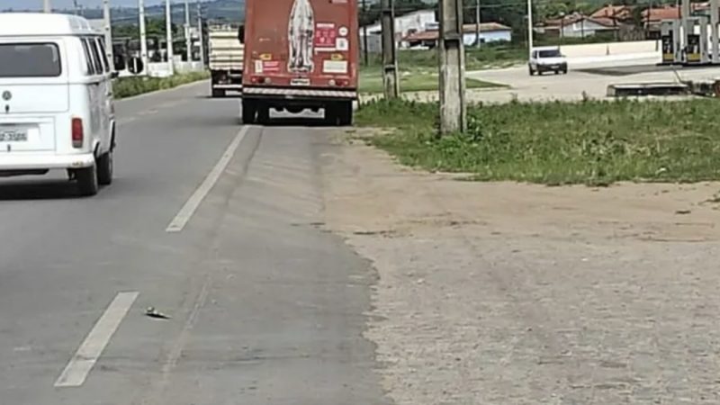 Homem morre atropelado por caminhão após tentar cruzar rodovia em Arapiraca