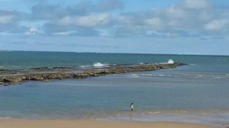 Corpo de homem desaparecido há três dias é encontrado na Praia de Coruripe