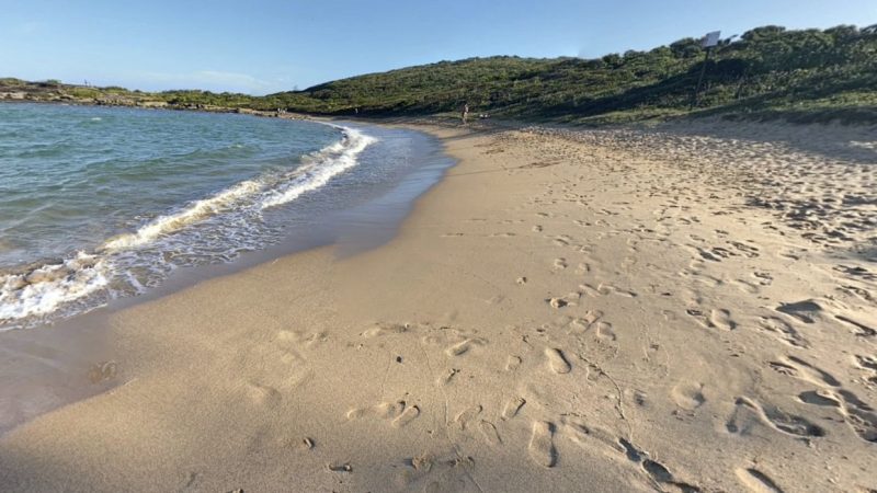 Casal usa drogas em praia, e jovem acorda com barriga aberta