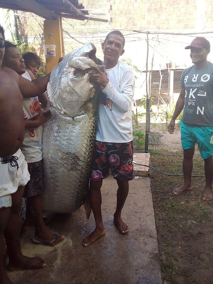 Pescador captura peixe de mais de 100 quilos no litoral do RN: ‘Foi luta pra tirar da água’