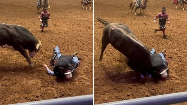 Para salvar filho que desmaiou, pai entra em arena e acaba chifrado por touro