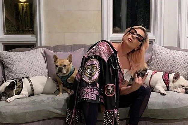 Lady Gaga é processada por mulher envolvida em roubo de pets da cantora