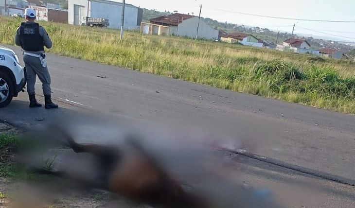 Motociclista morre após atropelar cavalo na AL-220, em Arapiraca