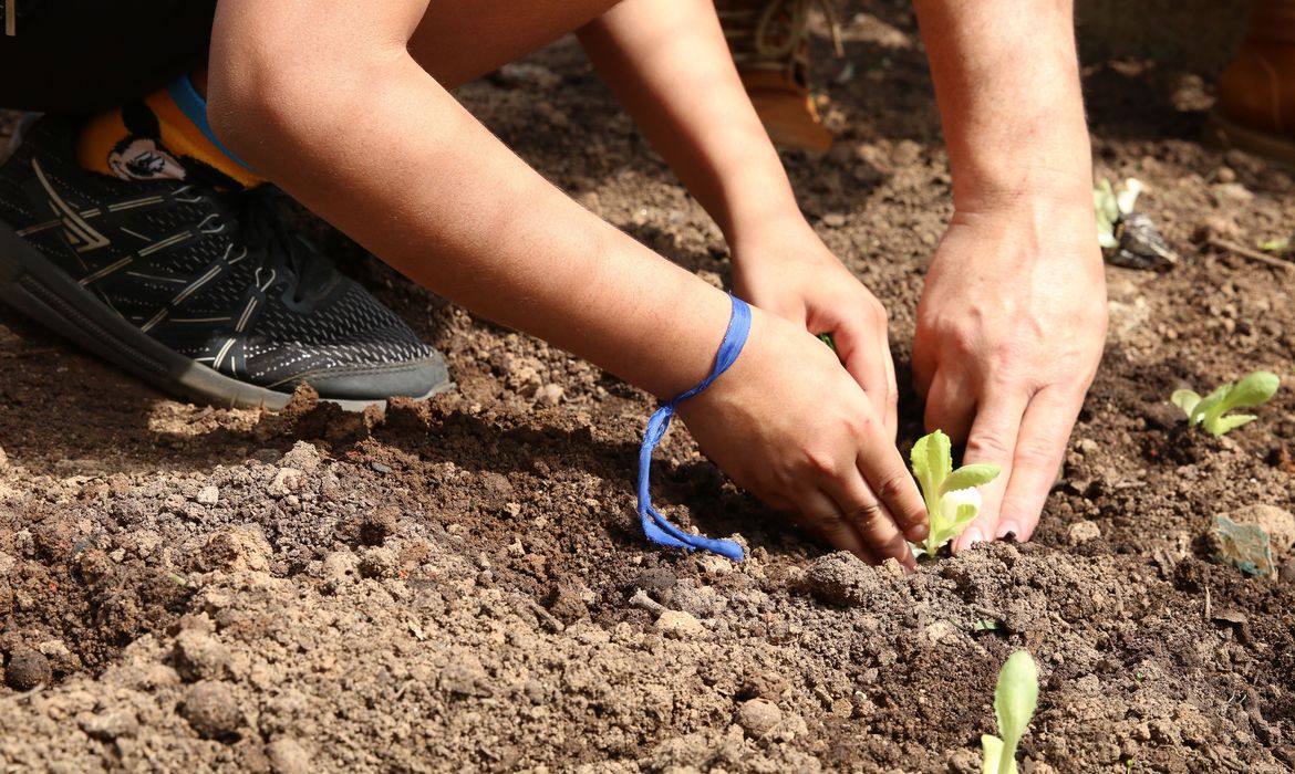 Curso orienta educadores sobre como levar a natureza para as escolas