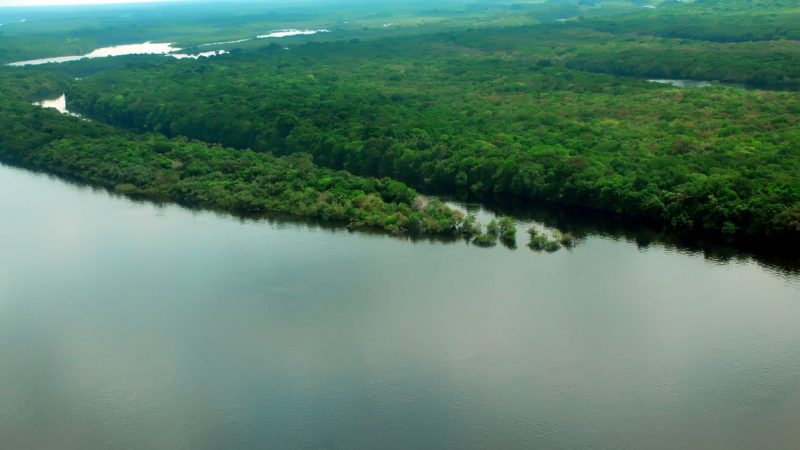 EUA estão empenhados em arrecadar recursos “vultosos” para Amazônia