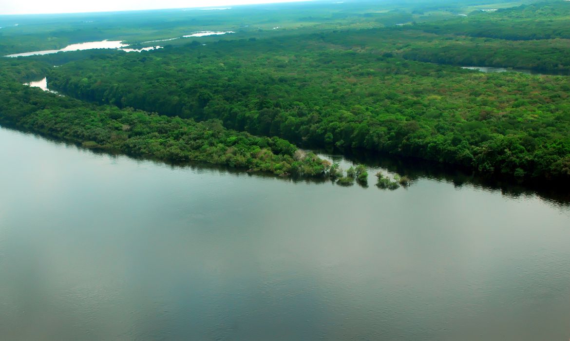 EUA estão empenhados em arrecadar recursos “vultosos” para Amazônia