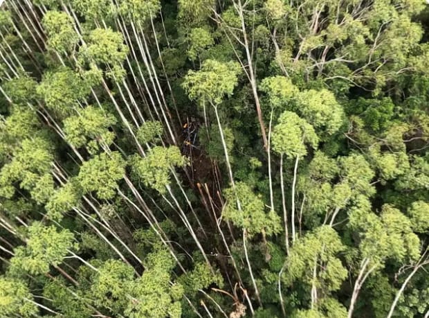 Helicóptero que sumiu com 4 a bordo é encontrado em Paraibuna (SP)