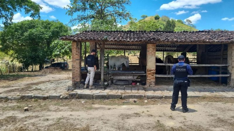 Força-tarefa resgata dois trabalhadores em situação análoga à escravidão em Alagoas