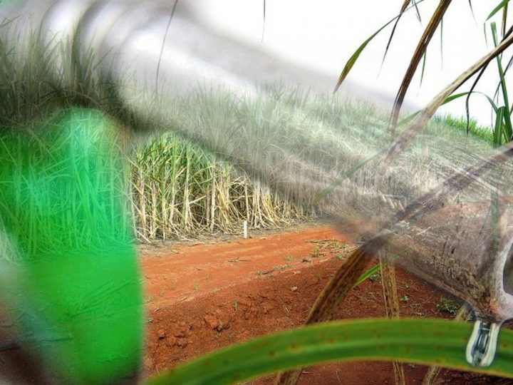 Alagoas se consolida como maior produtor de etanol do Nordeste