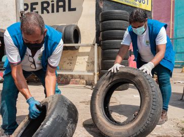 Com mais de 190% de aumento nos casos de dengue, Maceió começa mutirão nesta segunda (29)