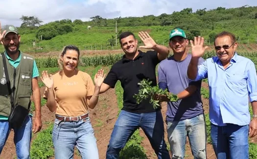 Capial inova com produção de amendoim na Agricultura Familiar