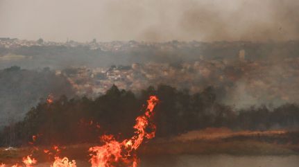 Estado de SP tem 34 cidades em alerta máximo para incêndios; veja lista