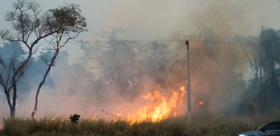 PF abre 32 inquéritos para investigar origem de incêndios florestais no país