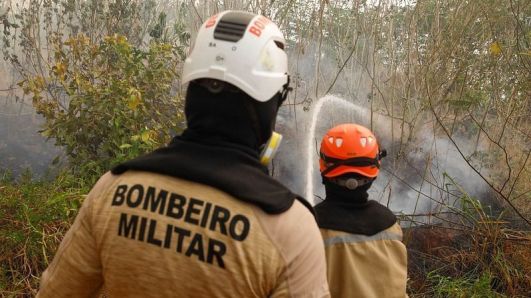 Governo espera seca mais severa em 20 anos na Amazônia e libera recursos