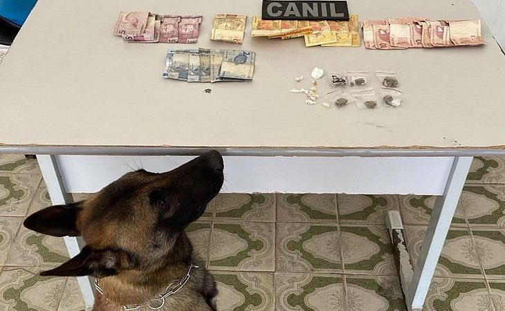 Cão da PM fareja maconha e cocaína e homem é preso suspeito de tráfico em Arapiraca