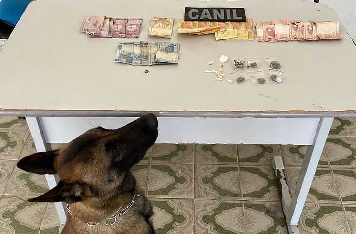 Cão da PM fareja maconha e cocaína e homem é preso suspeito de tráfico em Arapiraca