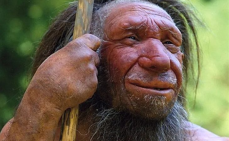 Análise de DNA ajuda a explicar fim dos neandertais e como eles conviveram com humanos