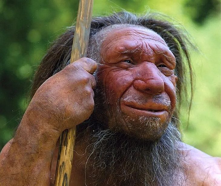 Análise de DNA ajuda a explicar fim dos neandertais e como eles conviveram com humanos