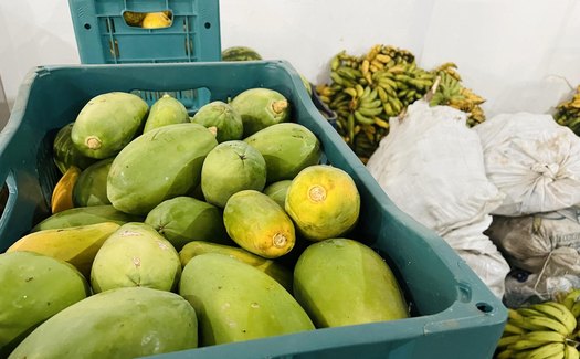 Em menos de 10 dias, 115 toneladas de alimentos foram doadas pelo PAA em Alagoas