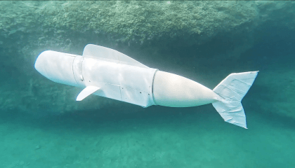 Conheça o peixe-robô que coleta DNA no fundo do oceano