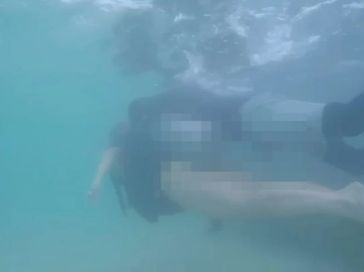 Guia é preso após turista denunciar importunação sexual durante passeio no Litoral Norte de AL