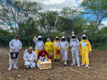 Apicultura ganha destaque com ampliação da cadeia produtiva do mel em Alagoas