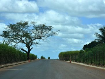 Programa Alagoas de Ponta a Ponta segue em Junqueiro com pavimentação asfáltica