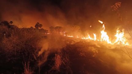 Incêndios na região da Chapada dos Veadeiros já destruíram o equivalente a 10 mil campos de futebol