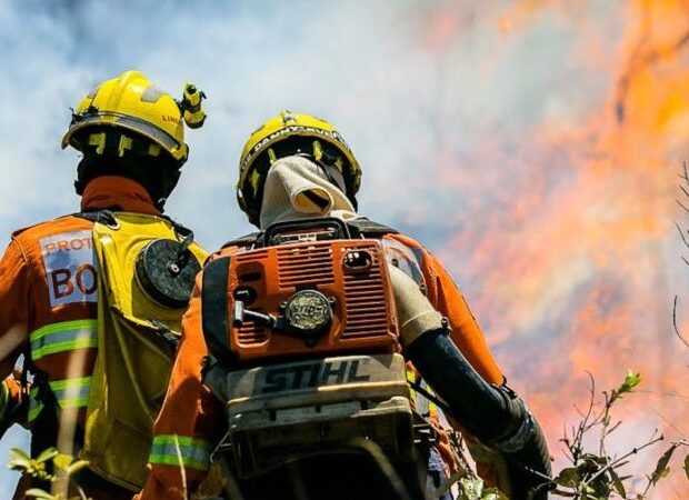 Barreira de fogo se forma durante incêndio em área do Parque Indígena Xingu