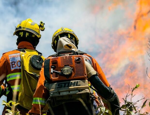 Barreira de fogo se forma durante incêndio em área do Parque Indígena Xingu