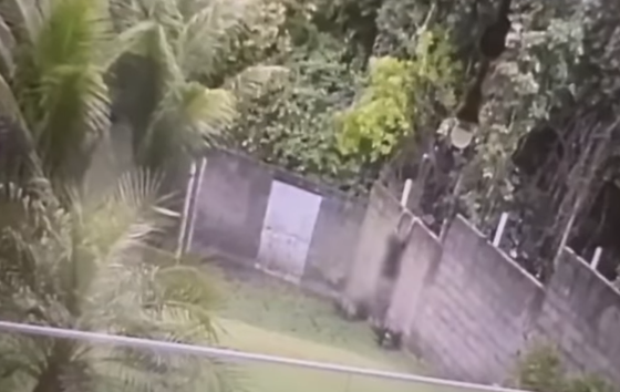 Homem tenta fugir após invadir casa, mas é preso por policial de plantão; vídeo