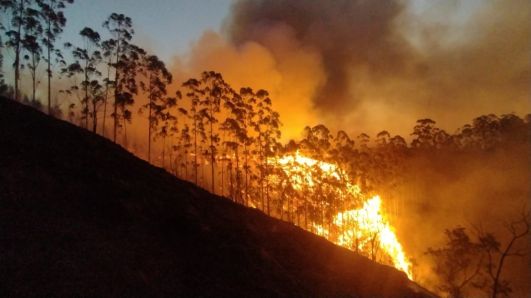 Há pontos com risco perigosíssimo de incêndio em todas as regiões do país, diz Inmet