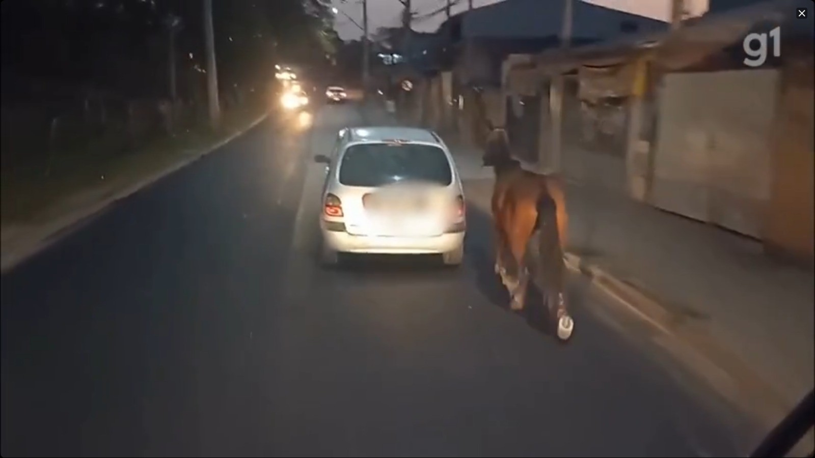 Motorista é flagrado puxando cavalo com corda atrás de carro em movimento, em São José