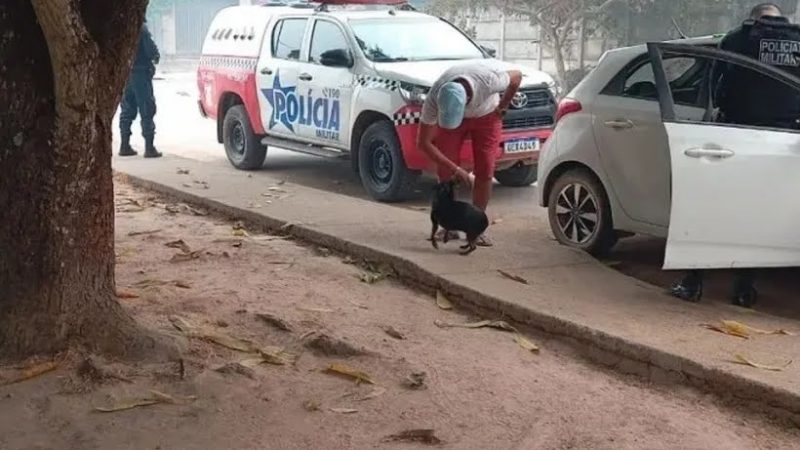 Padrasto mata enteado de 7 anos enforcado no Pará