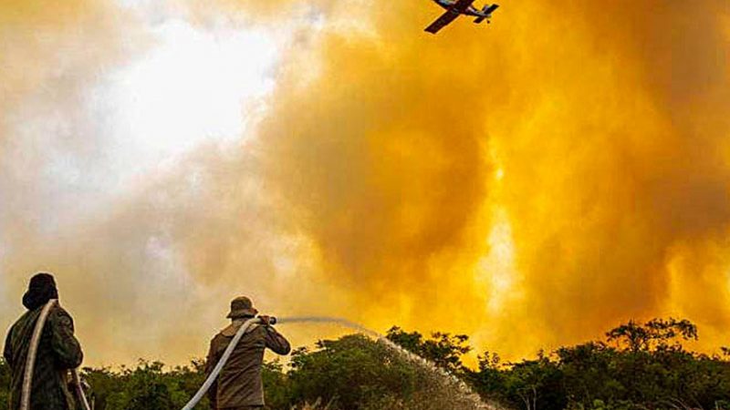 Portugal em chamas: país pede ajuda à Europa em meio a incêndios florestais