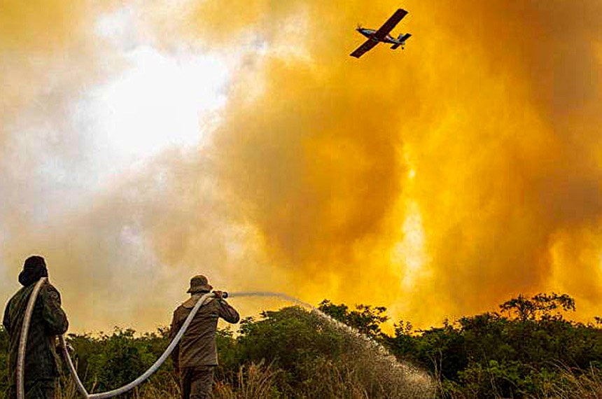 Portugal em chamas: país pede ajuda à Europa em meio a incêndios florestais