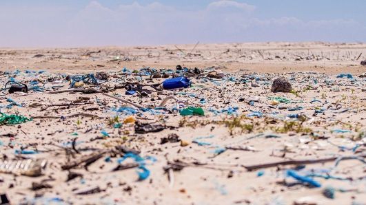 Praia em Florianópolis (SC) é a mais poluída do Brasil, aponta estudo