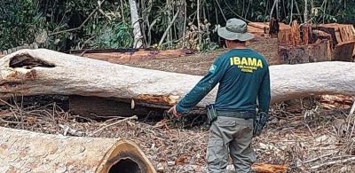 Ibama desmonta fraude de madeireiros na Amazônia e aplica multas milionárias