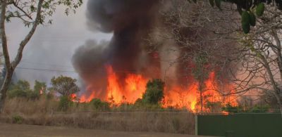 Governo vai propor penas mais rigorosas para quem provoca incêndio ambiental