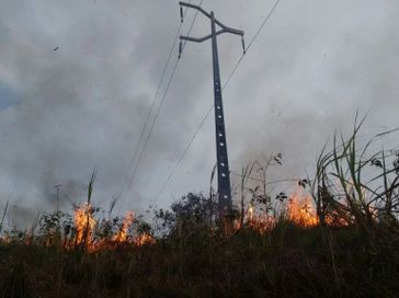 Interrupções no fornecimento de energia elétrica ocasionadas por queimadas em canaviais aumentaram 29,36%, em 2024